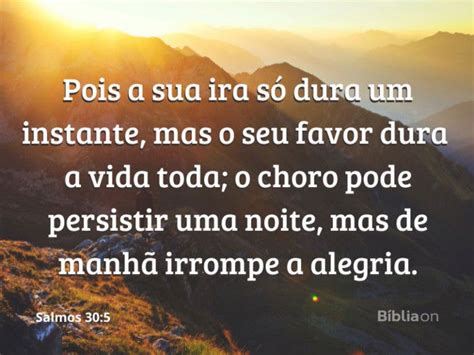 Vers Culos De Consolo E For A Para Quem Perdeu Um Ente Querido B Blia