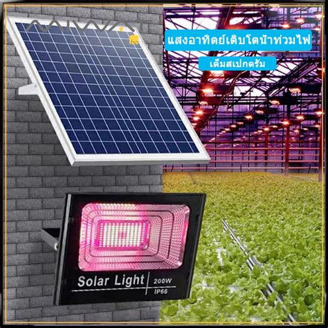 MIWAT Solar LED Grow Lights Full Spectrum 200W Solar Grow Floodlight