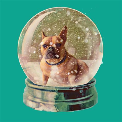 A dog snow globe | Snow globes, Snow dogs, Snow