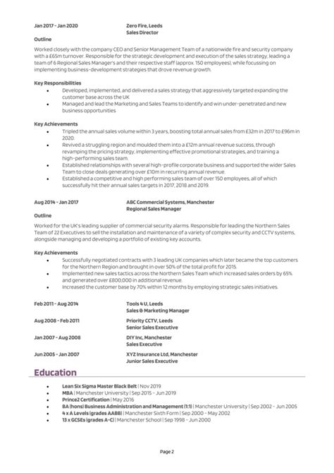 6 Executive Cv Examples 2024 Cv Templates And Guide