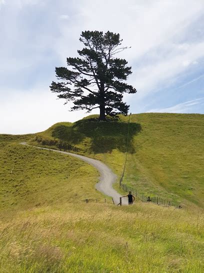 Papamoa Hills Regional Park - Papamoa 3187