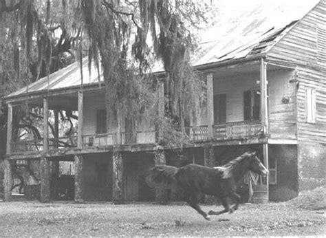 Darby Plantation Darby Ca 1965 Arnaudville St Landry Par Black