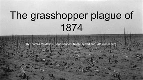 The Grasshopper Plague Of 1874 By Thomas Mcmahon Flipsnack