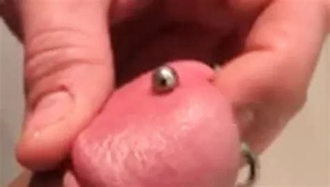 Piemel Gay Porn XHamster