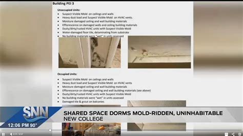 college upperclassmen   dorms  mold issues