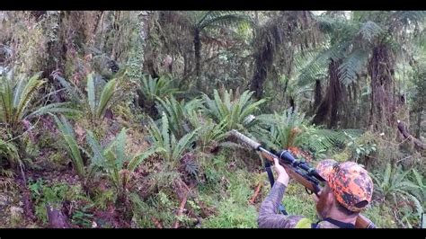 Part 2 Fiordland Nz Wapiti Ballot Block George River 1st Period