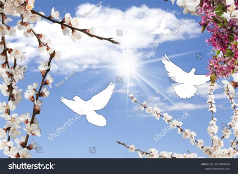 Sunny Blue Sky Clouds Pink Cherry Stock Photo 2074969600 Shutterstock