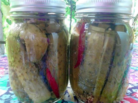 Perfect Pickles | eatinscanada.com