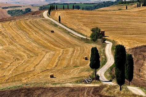 I Cipressi Della Val D Orcia Tuscany Planet