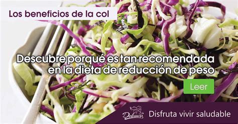 Col Beneficios Y Propiedades Ideal En Dieta De Reducción De Peso