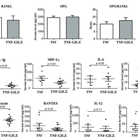 Serum Cytokine And Chemokine Levels In Tnf And Tnf Gilz Tg Mice A Download Scientific