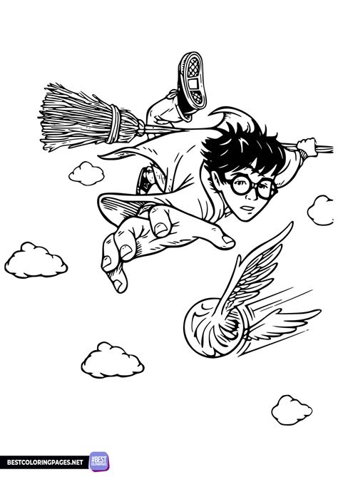 Harry Potter Quidditch Coloring Page Free Printable Coloring Pages