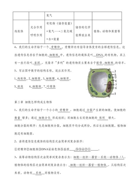 人教版生物七年级上册生物知识点下载17页七年级果子办公