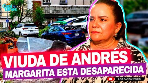 Hurac N Otis Reportan Como Desaparecida A Margarita Portillo Viuda De