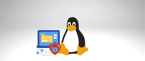 Understanding Linux Permissions A Comprehensive Guide DEV Community