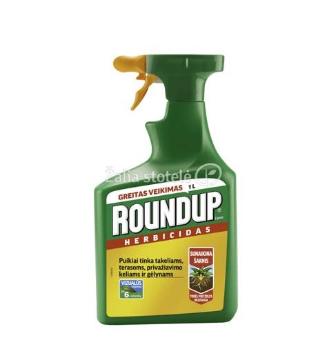 Roundup Express Spray L