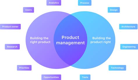 What Are The Roles And Responsibilities Of Product Manager