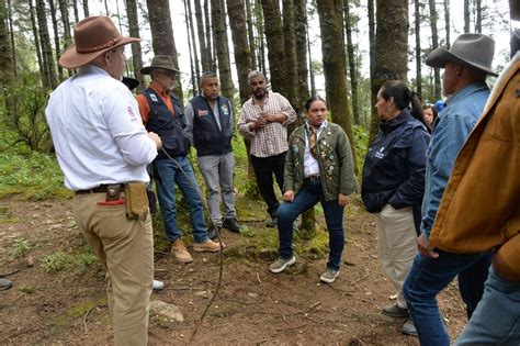 Llega la Mariposa Monarca al EdoMéx santuarios abren sus puertas a la