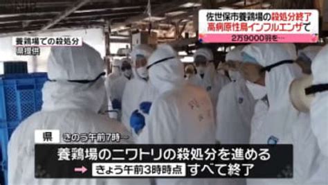 【長崎】高病原性鳥インフルエンザ発生の養鶏場で殺処分終了