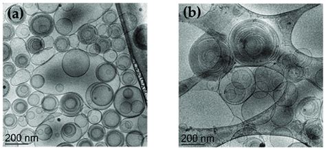 Cryo Transmission Electron Microscopy Images Cryo Tem Of Etho0 9 A Download Scientific