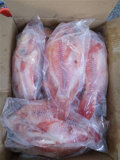 Китай Замороженная красная тилапия Поставщики, Фабрика - Морепродукты ...
