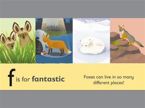 F Is For Fox By Dk Penguin Books Australia