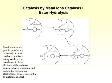 Ppt Enzymes Mechanism And Catalysis Powerpoint Presentation Free