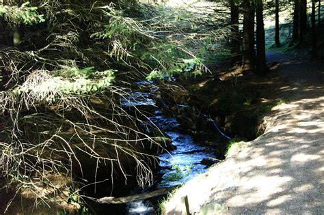 River Severn near its Source | Ceredigion Wales | David Merrett | Flickr