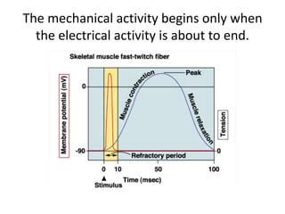 Properties Of Skeletal Muscle Ppt