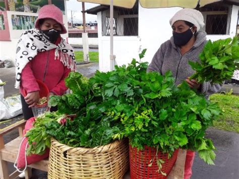 Agricultores se unen para crear una feria agroecológica en Píllaro