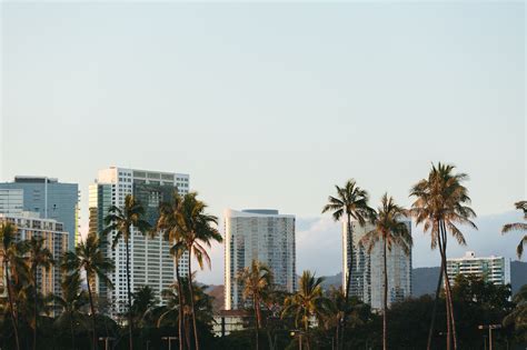 10 Affordable Yet Highly Rated Honolulu Resorts Where You Can Enjoy ...