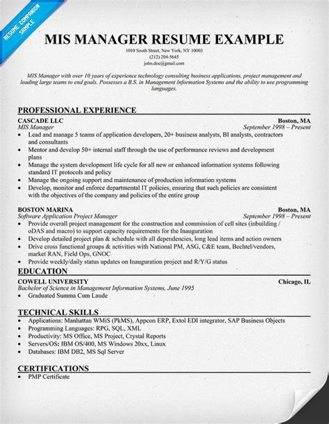 Mis Executive Resume Excel