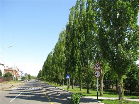 Ивушка парк ростоши оренбург - 91 фото