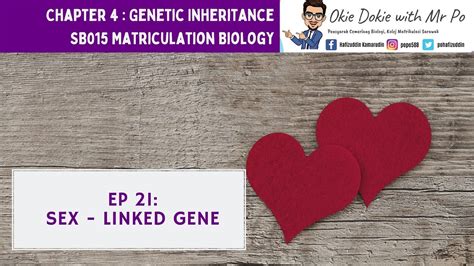 Chapter 4 Ep 21 Sem 1 Sex Linked Gene Matriculation Biology Youtube