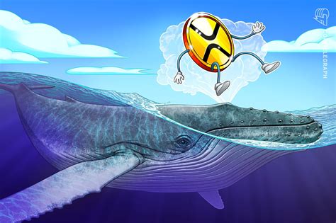 Xrp Whale Moves Million Tokens To Bitstamp Amid Price Slide