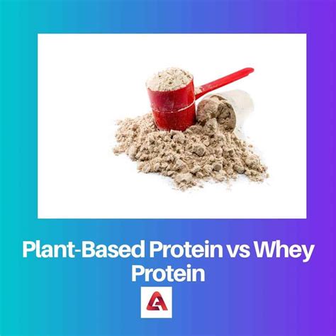 Plant Based Protein Vs Whey Protein Difference And Comparison