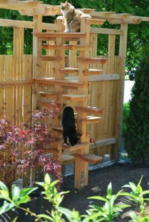 Outdoor Cat Playground Play Areas In 2021 Cat Playground Outdoor