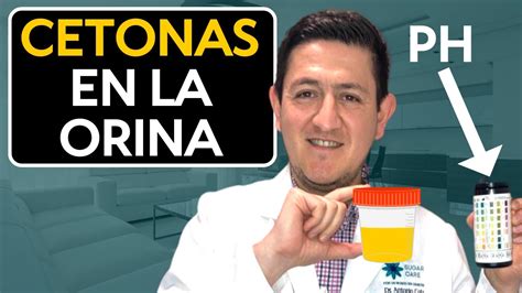 Cetoacidosis Diab Tica Cetonas En La Orina Como Detectarlas Y Que