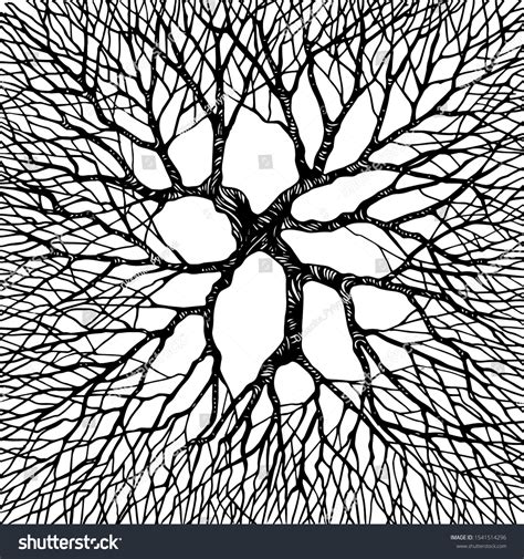 Tree Top View Stock Vector Illustration Stock Vector (Royalty Free ...