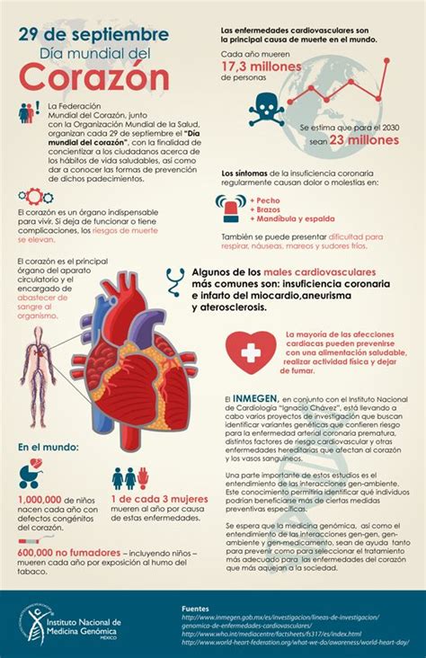 Día Mundial Del Corazón Infografia Salud Pinterest