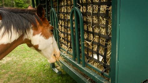 10 Best Slow Feeders For Horses | Farmco Manufacturing