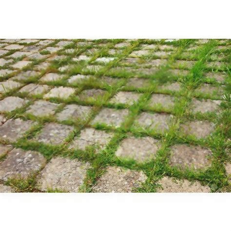 Red Concrete Grass Paver Block, For Landscaping, Thickness: 30-60 Mm at Rs 50/square feet in Thane