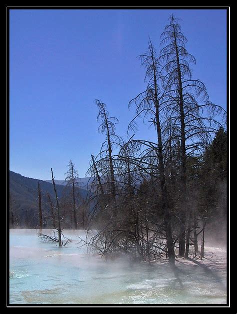 Mammoth Hot Springs - Landscape - Photo.net