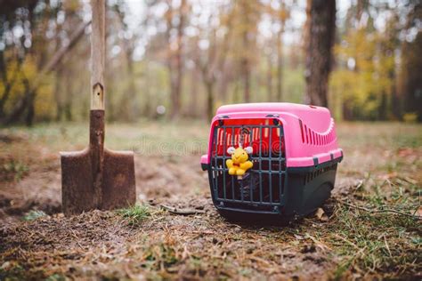 Pet Funeral Services Near Me : Pet Funeral High Resolution Stock Photography And Images Alamy ...