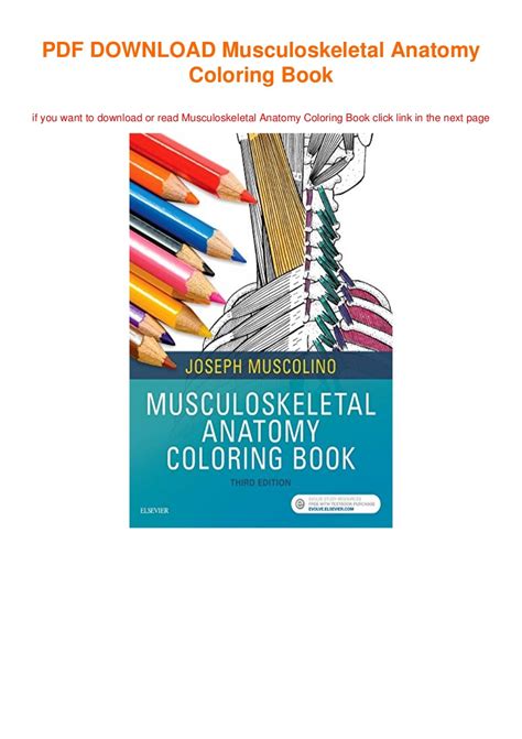 Musculoskeletal Anatomy Coloring Book Fullacces