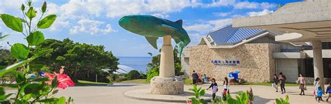 Visitor Information | Okinawa Churaumi Aquarium - For the next ...