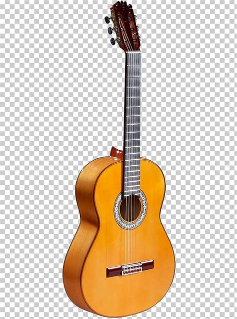 Acoustic Guitar Tiple Cuatro Cavaquinho Acoustic Electric Guitar Png