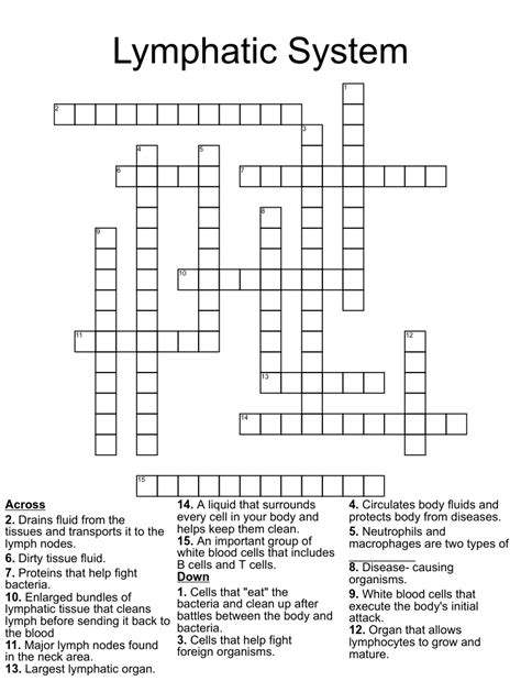 Lymphatic System Word Search WordMint