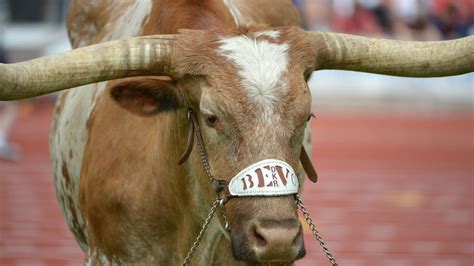 Daily Round Up The Two Faces Of Mack Burnt Orange Nation