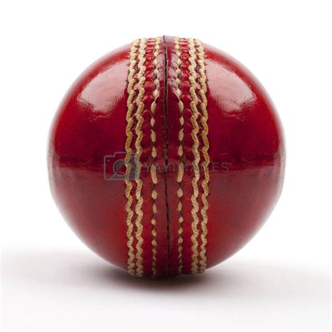 Red Cricket Ball by chrisdorney Vectors & Illustrations Free download ...